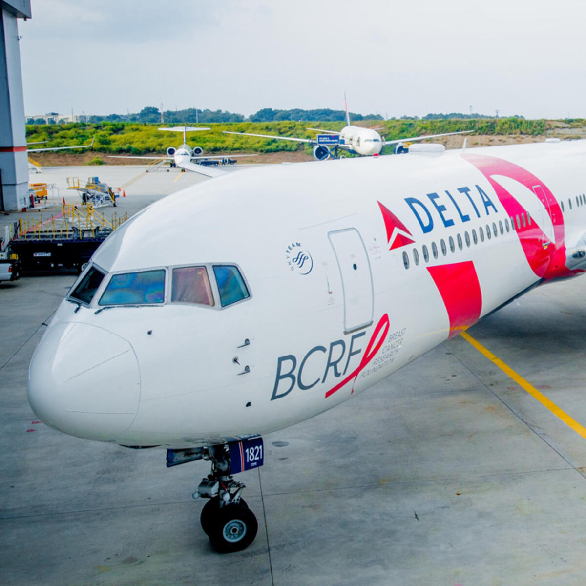 BCRF Pink Plane