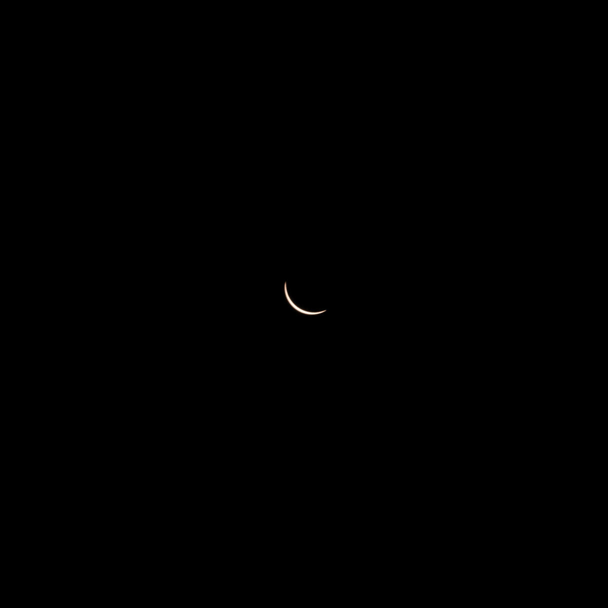Customers on board DL 1010 from Dallas Fort Worth International Airport (DTW) to Detroit Wayne County Metropolitan Airport (DFW) view the solar eclipse.