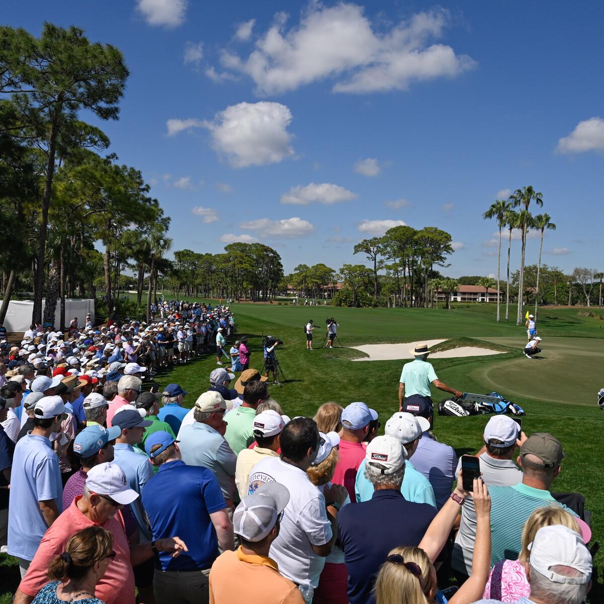 Fans surround a golf green while attending a PGA Tour event.