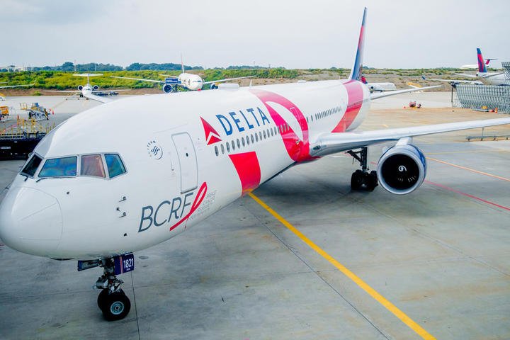 BCRF Pink Plane