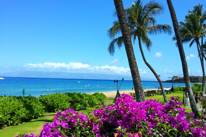 Beaches of Hawaii