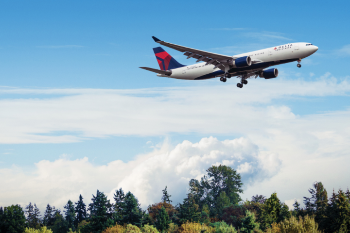 A330-200 in flight over trees