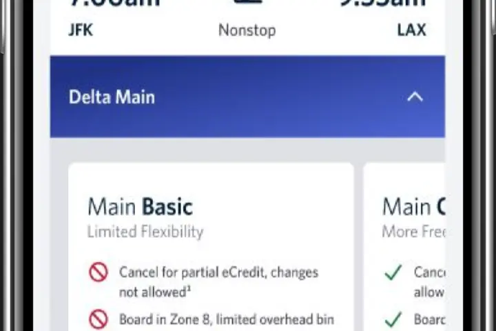 Example screenshot of Delta app showing Basic level of Main service