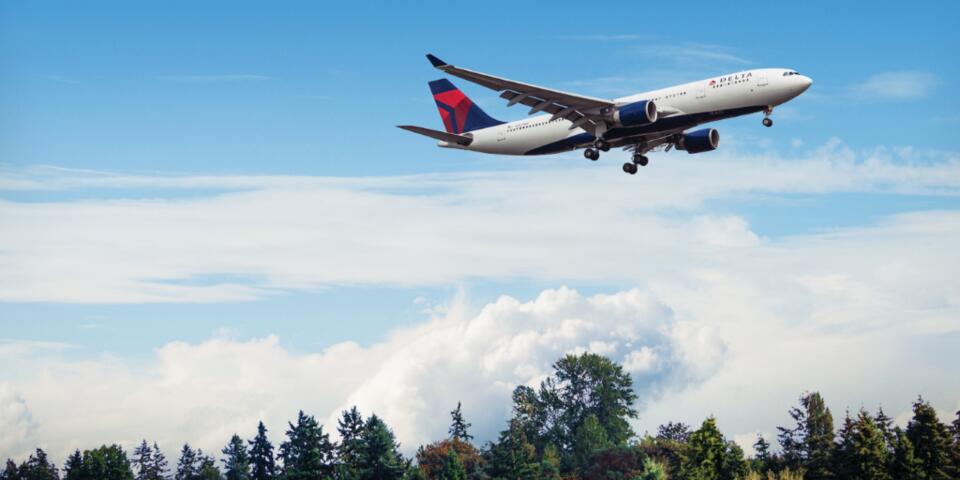 A330-200 in flight over trees