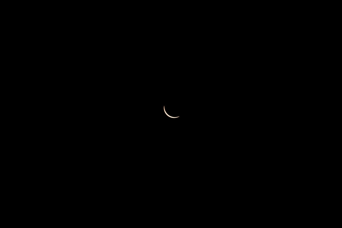 Customers on board DL 1010 from Dallas Fort Worth International Airport (DTW) to Detroit Wayne County Metropolitan Airport (DFW) view the solar eclipse.